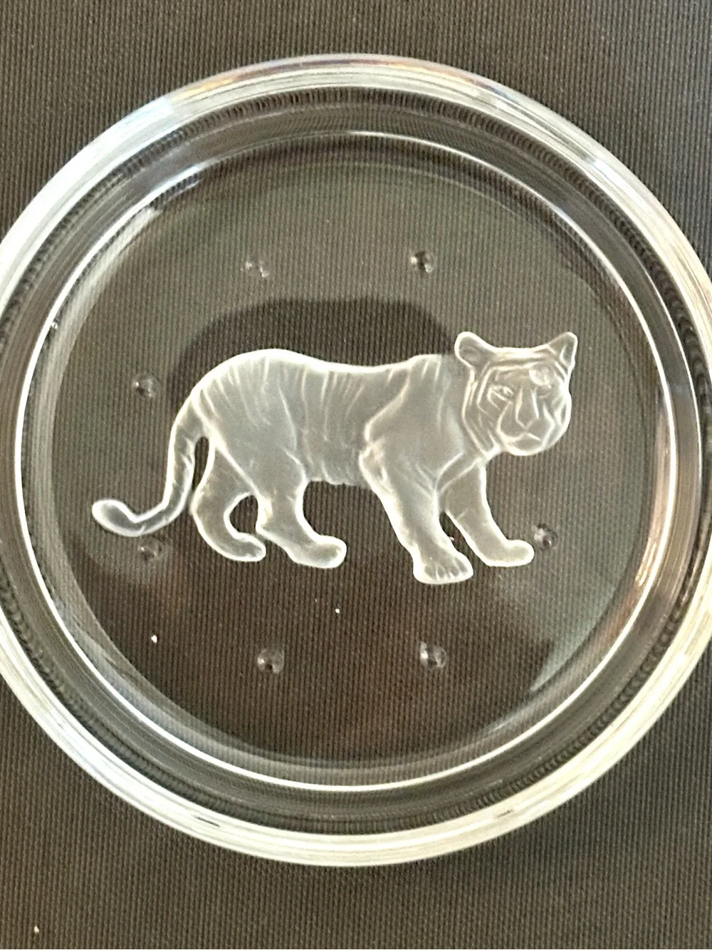 Val St Lambert Crystal Coasters Set 6 Endangered Wildlife Animals Frosted VTG